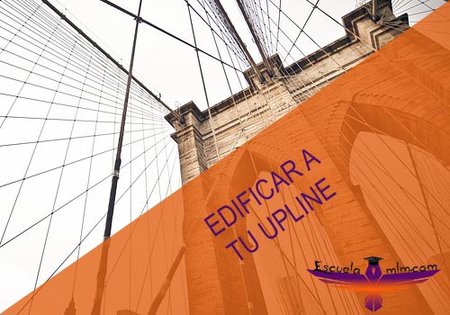 Featured image for “Edificar a tu Upline”
